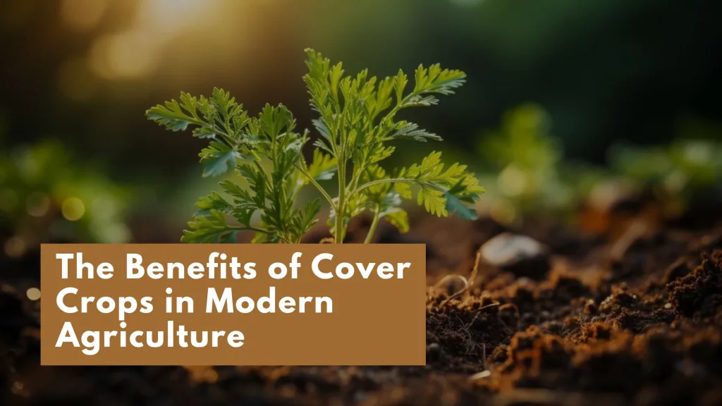 Modern Agriculture