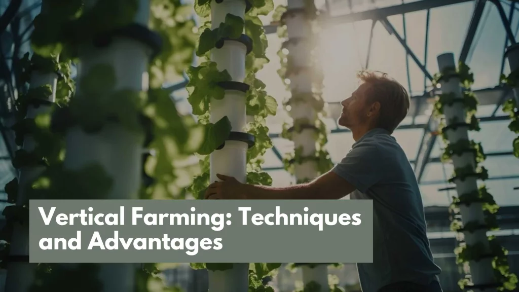 Vertical Farming