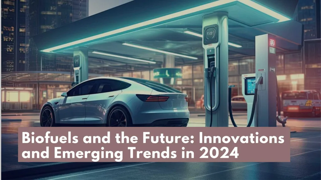 Biofuels and the Future